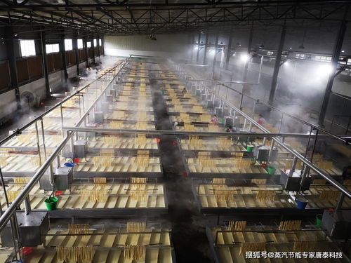 食品行业蒸汽节能案例分享 腐竹厂蒸汽诊断